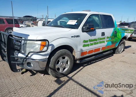 2009 Ford F-150 King Ranch/Lariat/Platinum/Xl/Xlt z USA, uszkodzony, nr VIN 1FTPW12V49FA61311